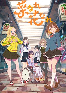 域名如何影响网站优化